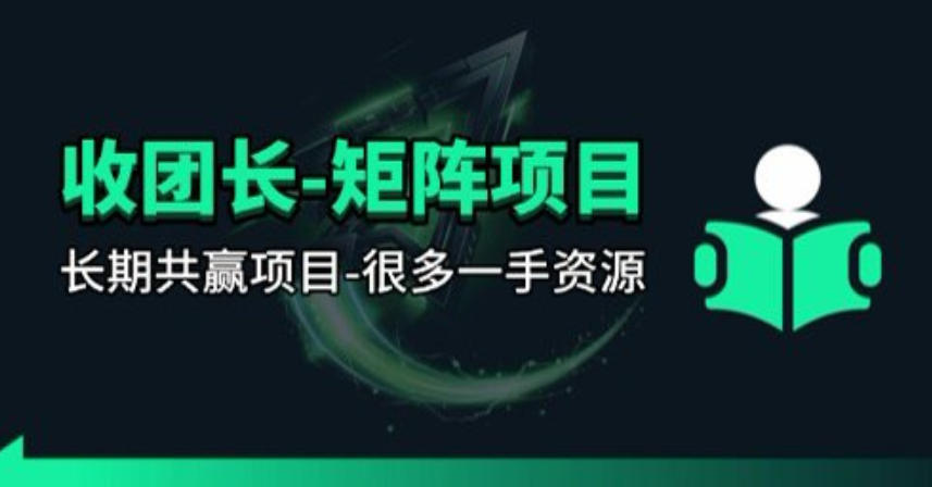 【团长合作】视频矩阵项目_招发手矩阵+剪辑师，共赢项目【揭秘】-网创资源站