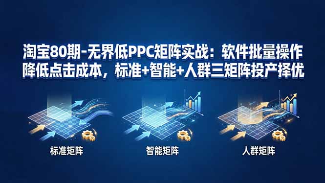淘宝80期-无界低PPC矩阵实战：软件批量操作降低点击成本，标准+智能+人群三矩阵投产择优-网创资源站