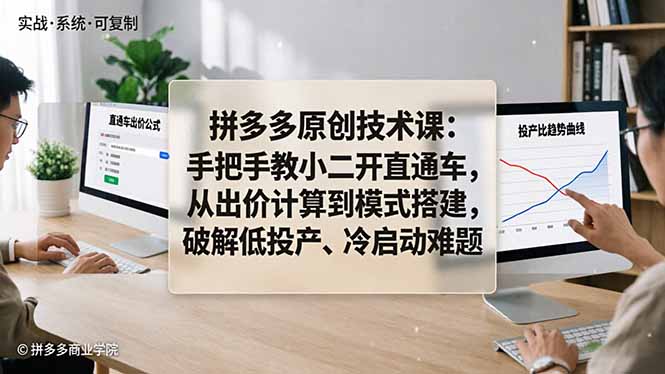 拼多多原创技术课：手把手教小二开直通车，从出价计算到模式搭建，破解低投产、冷启动难题-网创资源站