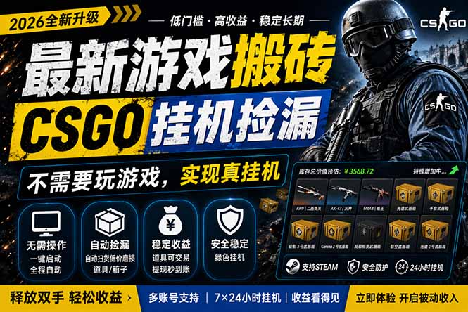 最新游戏搬砖，CSGO纯挂机，不需要玩游戏，实现真挂机，月入1W+，五一小高峰上车可吃肉，…-网创资源站