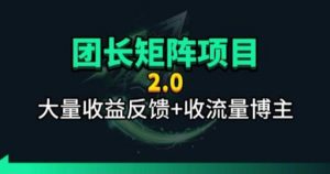 【团长合作2.0】视频矩阵项目_招发手矩阵+剪辑师，共赢项目【揭秘】-网创资源站