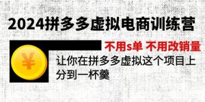 (11525期)2024拼多多虚拟电商训练营 不用s单 不用改销量 在拼多多虚拟上分到一杯羹-网创资源站