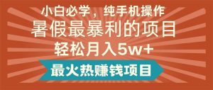 （11583期）小白必学，纯手机操作，暑假最暴利的项目轻松月入5w+最火热赚钱项目-网创资源站