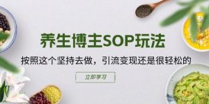 养生博主SOP玩法，按照这个坚持去做，引流变现还是很轻松的-网创资源站