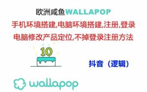 wallapop整套详细闭环流程:最稳定封号率低的一个操作账号的办法-网创资源站