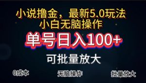 (11651期)全自动小说撸金,单号日入100+小白轻松上手,无脑操作-网创资源站