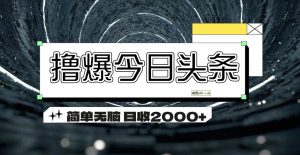 （11665期）撸爆今日头条 简单无脑操作 日收2000+-网创资源站
