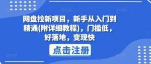 网盘拉新项目，新手从入门到精通(附详细教程)，门槛低，好落地，变现快-网创资源站