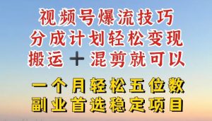 视频号爆流技巧，分成计划轻松变现，搬运 +混剪就可以，一个月轻松五位数稳定项目【揭秘】-网创资源站