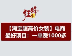 淘宝超高价女装项目，电商最好赛道，一单赚1000多-网创资源站