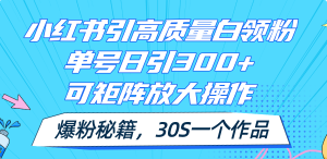 (11692期)小红书引高质量白领粉,单号日引300+,可放大操作,爆粉秘籍!30s一个作品-网创资源站