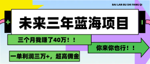 （11716期）未来三年，蓝海赛道，月入3万+-网创资源站