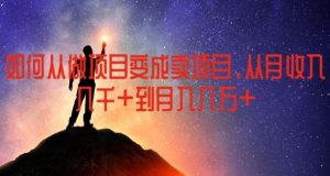 如何从做项目变成卖项目,从月收入几千到月入几万【揭秘】-网创资源站