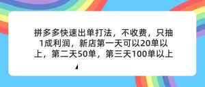 （11681期）拼多多2天起店，只合作不卖课不收费，上架产品无偿对接，只需要你回…-网创资源站