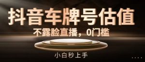 抖音车牌号估值，不露脸直播，0门槛，小白秒上手【揭秘】-网创资源站