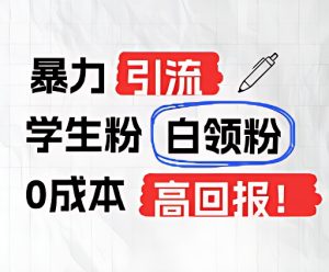 暴力引流学生粉白领粉，吊打以往垃圾玩法，0成本，高回报-网创资源站