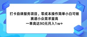 打卡自律服务项目,零成本操作简单小白可做,赛道小众需求量高,一单高达90元月入1w+-网创资源站