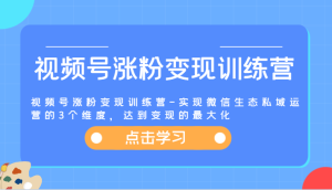 视频号涨粉变现训练营-实现微信生态私域运营的3个维度,达到变现的最大化-网创资源站
