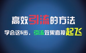 高效引流的方法,可以帮助你日引300+创业粉,一年轻松收入30万,比打工强太多!-网创资源站