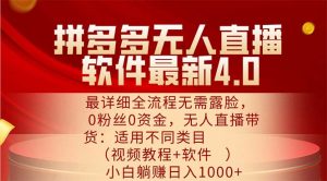 (11891期)拼多多无人直播软件最新4.0,最详细全流程无需露脸,0粉丝0资金, 小白…-网创资源站