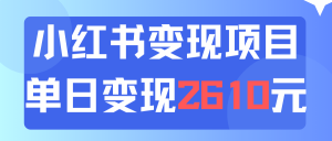 （11885期）利用小红书卖资料单日引流150人当日变现2610元小白可实操（教程+资料）-网创资源站