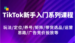 TikTok新手入门系列课程，玩法/定位/养号/矩阵/带货选品/运营思路/广告竞价投放等-网创资源站