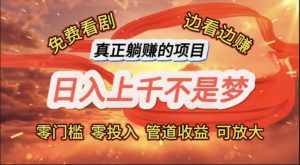 （11866期）免费看剧，边看边赚，日入上千不是梦，一个真正的躺赚项目-网创资源站