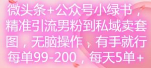 微头条+公众号小绿书，精准引流男粉到私域卖套图，无脑操作，有手就行，每单99-200，每天5单-网创资源站