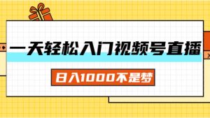 （11906期）一天入门视频号直播带货，日入1000不是梦-网创资源站