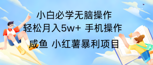 全网首发2024最暴利手机操作项目，简单无脑操作，每单利润最少500+-网创资源站