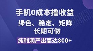 (11976期)纯利润高达800+,手机0成本撸羊毛,项目纯绿色,可稳定长期操作!-网创资源站