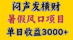 30天赚了7.5W 暑假风口项目，比较好学，2天左右上手-网创资源站