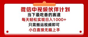 （12017期）微信中视频伙伴计划，仅靠搬运就能轻松实现日入500+，关键操作还简单，…-网创资源站