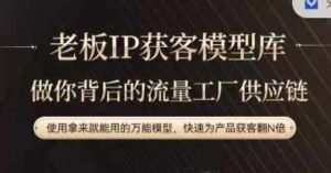 老板IP流量供应链,动作越少,账号越好,使用拿来就能用的万能模型,快速为产品获客翻N倍-网创资源站