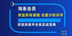 淘系会员初级到高手全系实战宝典【淘宝所有课程，全面分析对手】-网创资源站
