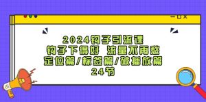 2024钩子引流课:钩子下得好流量不再愁,定位篇/标签篇/破播放篇/24节-网创资源站