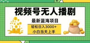 （12128期）视频号无人播剧，轻松日入3000+，最新蓝海项目，拉爆流量收益，多种变…-网创资源站