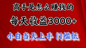 (12144期)1天收益3000+,月收益10万以上,24年8月份爆火项目-网创资源站