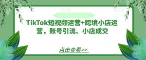 TikTok短视频运营+跨境小店运营，账号引流、小店成交-网创资源站