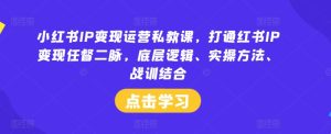 小红书IP变现运营私教课，打通红书IP变现任督二脉，底层逻辑、实操方法、战训结合-网创资源站