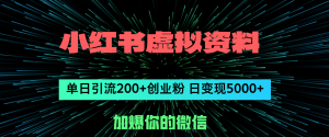 （12164期）小红书虚拟资料日引流200+创业粉，单日变现5000+-网创资源站