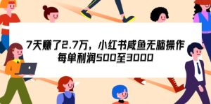 （12192期）7天收了2.7万，小红书咸鱼无脑操作，每单利润500至3000-网创资源站