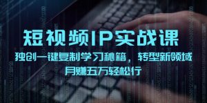 （12193期）短视频 IP实战课，独创一键复制学习秘籍，转战新领域，月赚五万轻松行-网创资源站