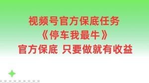 视频号官方保底任务,停车我最牛,官方保底只要做就有收益【揭秘】-网创资源站