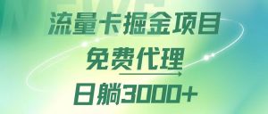 （12321期）流量卡掘金代理，日躺赚3000+，变现暴力，多种推广途径-网创资源站