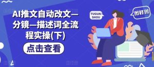 AI推文自动改文—分镜—描述词全流程实操(下)-网创资源站