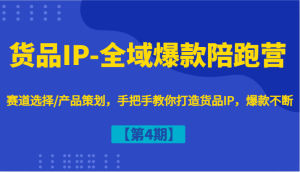 货品IP-全域爆款陪跑营【第4期】赛道选择/产品策划，手把手教你打造货品IP，爆款不断-网创资源站