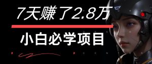 7天赚了2.8万！每单利润最少500+，轻松月入7万+小白有手就行-网创资源站