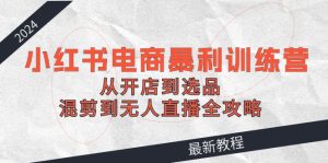 2024小红书电商暴利训练营:从开店到选品,混剪到无人直播全攻略-网创资源站