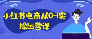 小红书电商从0-1实操运营课,小红书手机实操小红书/IP和私域课/小红书电商电脑实操板块等-网创资源站